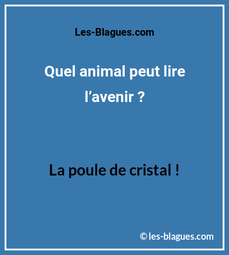 Blague Devinette AnimalLitAvenir