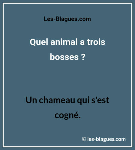 Blague Devinette AnimalTroisBosses