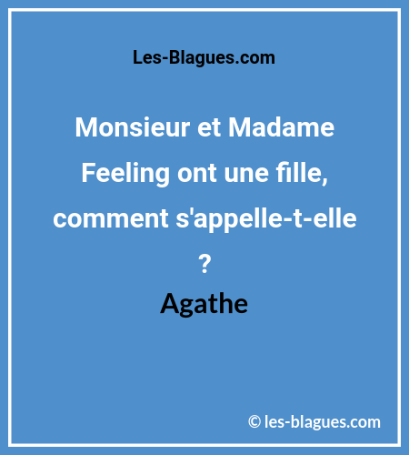 Blague Monsieur et Madame Feeling