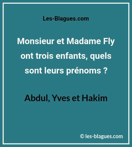 Blague Monsieur et Madame Fly