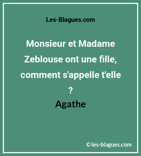 Blague Monsieur et Madame Zeblouse